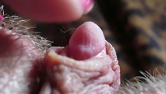 Intense Close-Up Of My Large Clitoris Head Throbbing During Intense Sexual Intercourse