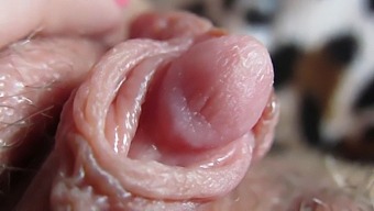 Intense Closeup Of My Throbbing Clit Head