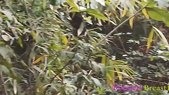 A Wild Ex-Boyfriend Has Intense Sex With A Village Girl In The Woods, Climaxing Inside Her